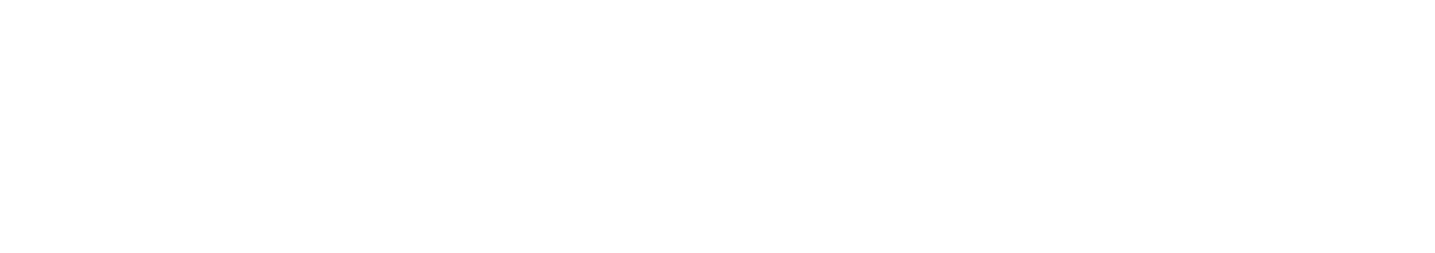 DiscoveryOpt Logo